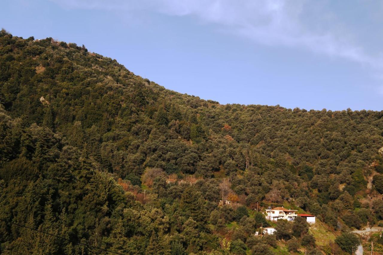 Ferienhaus Kleanthi's House Chania (Crete)
