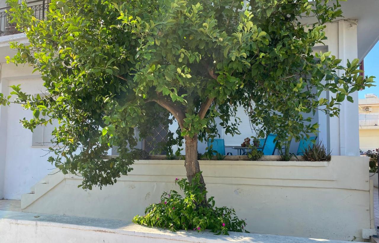 Apartment Chania Center Flat Chania (Crete)