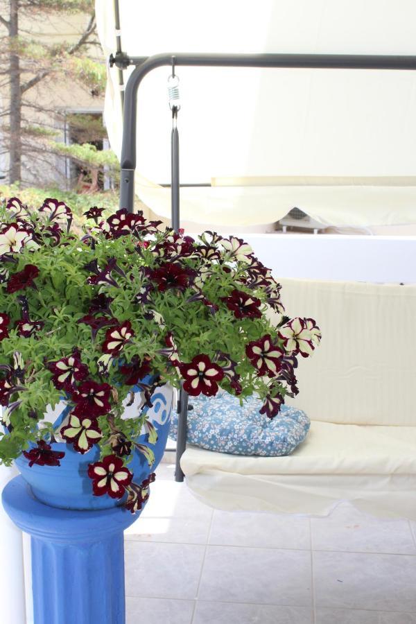 Aegean Dreams Flat