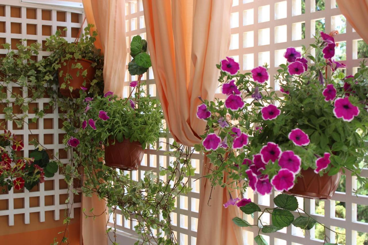 Aegean Dreams Flat Apartment Chania (Crete)
