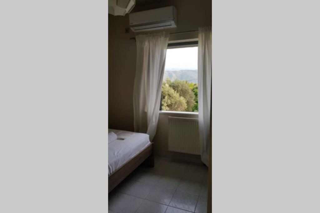 Apartment Blue And