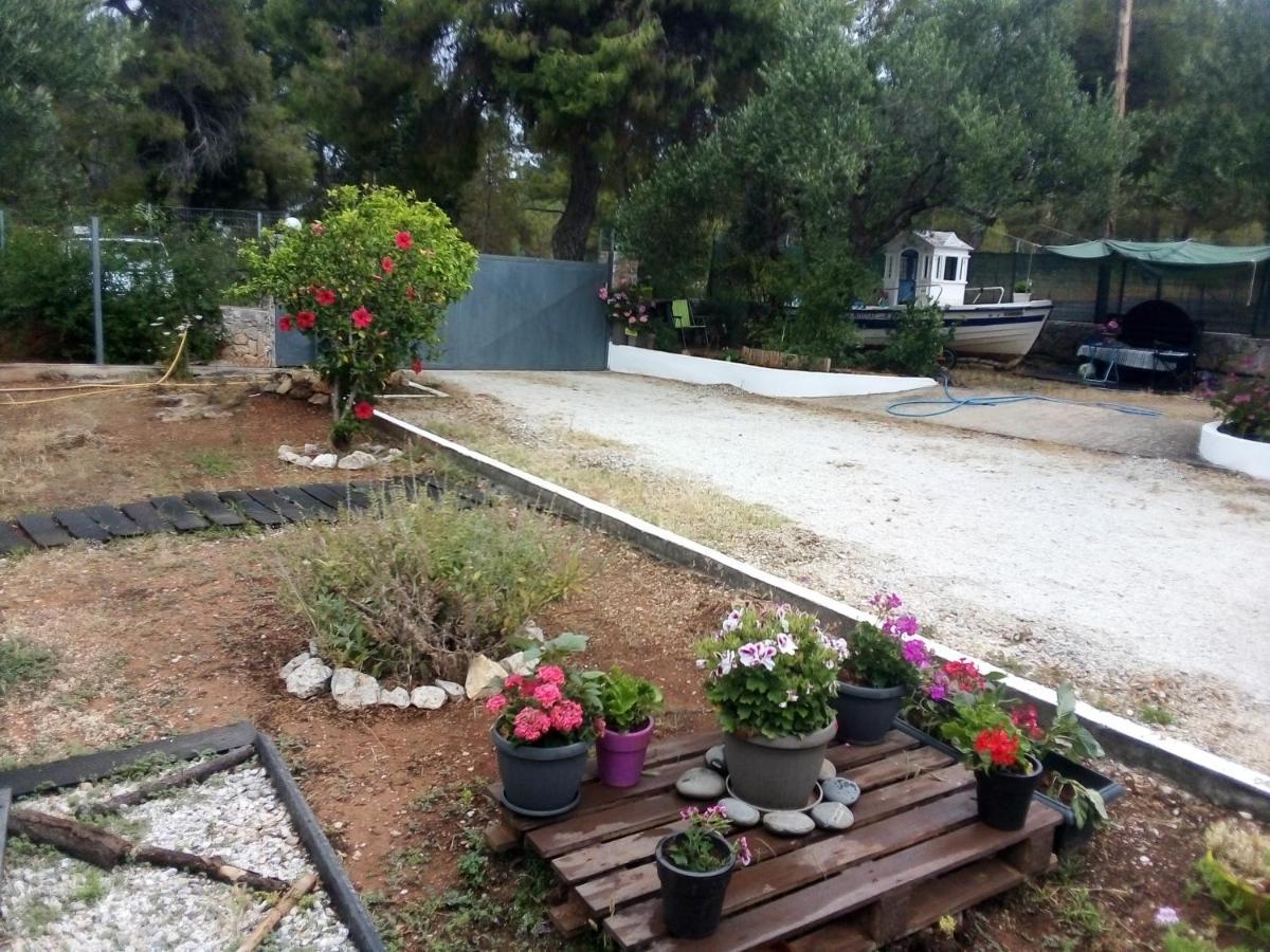 Holiday home Anna's Garden House Chania (Crete)