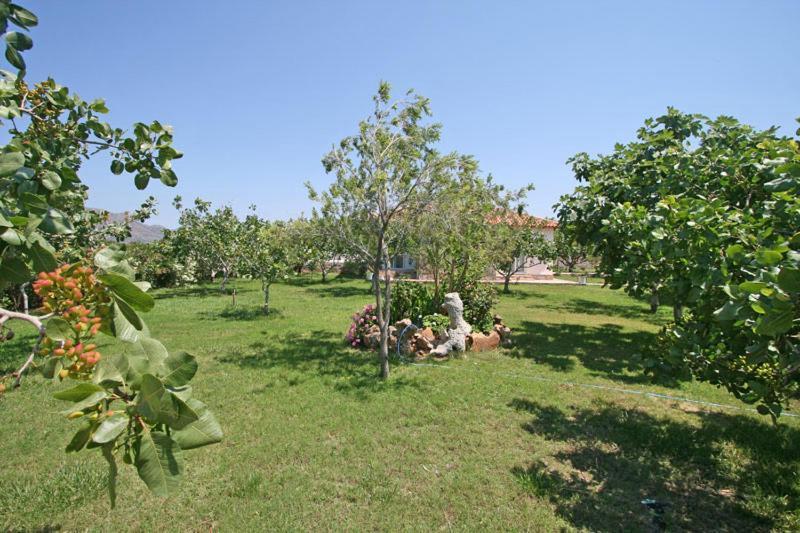 Eleana Aparthotel