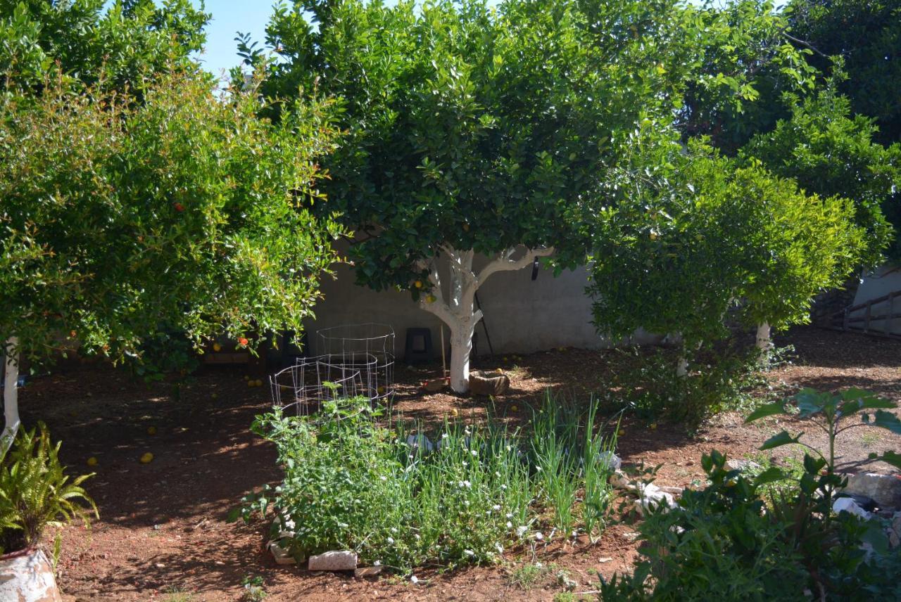 Sergios Ferienhaus Chania (Crete)