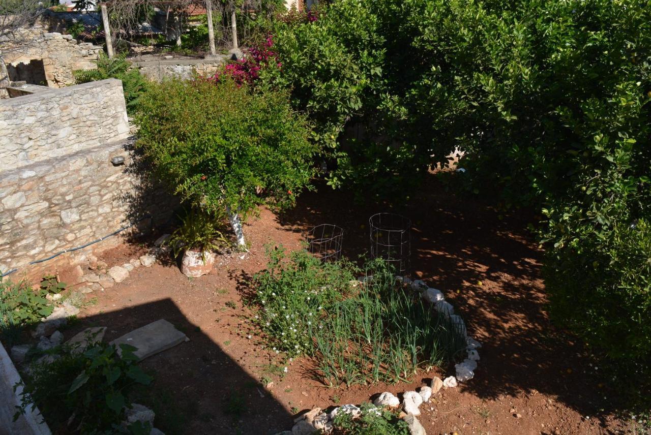 Ferienhaus Sergios Chania (Crete)