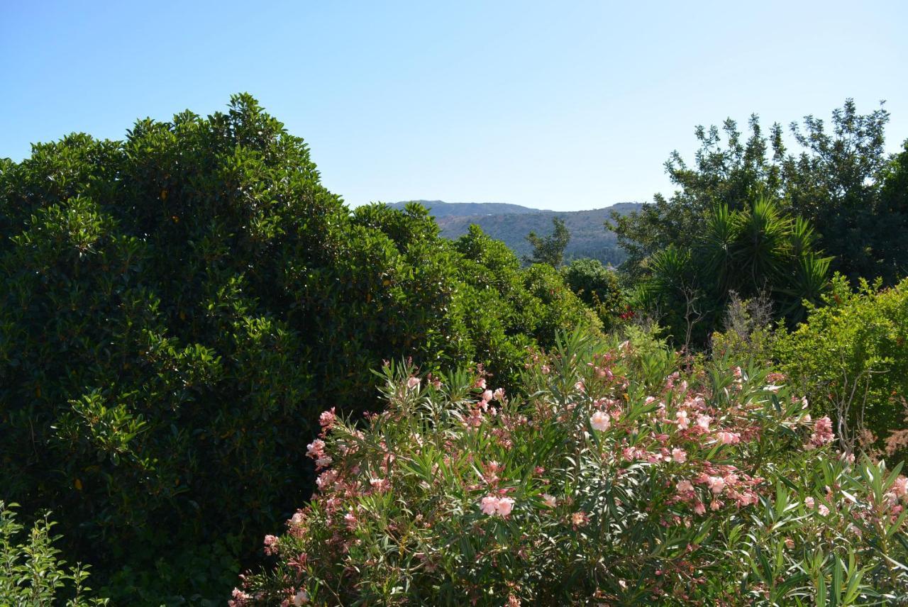 Sergios Holiday home