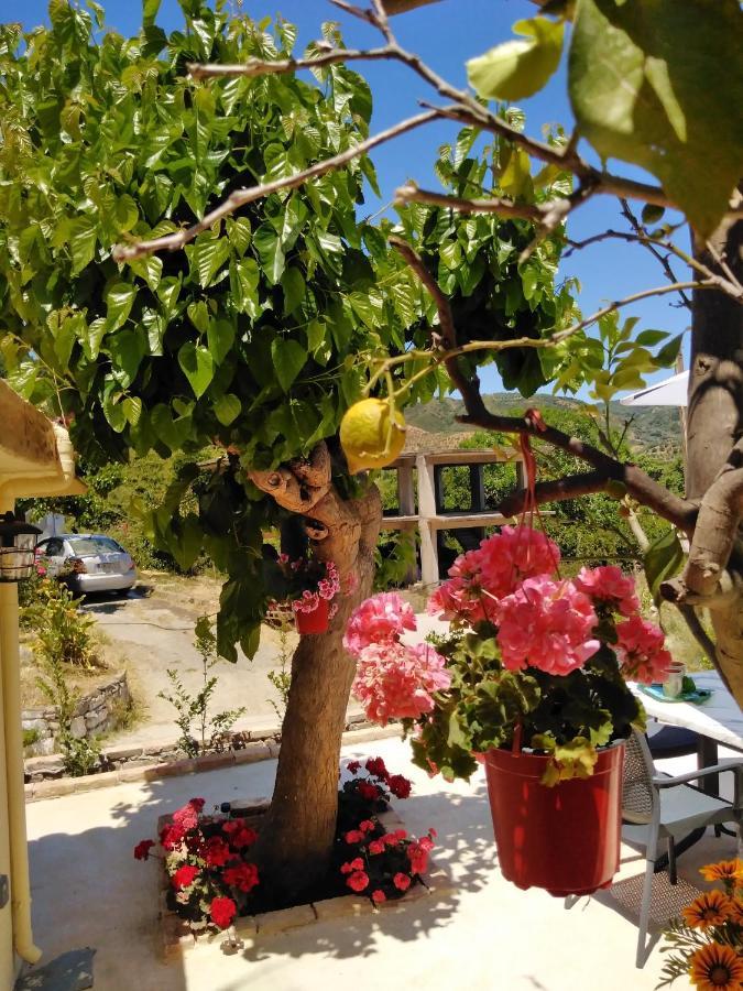 Casa Bellissima Chania (Crete)