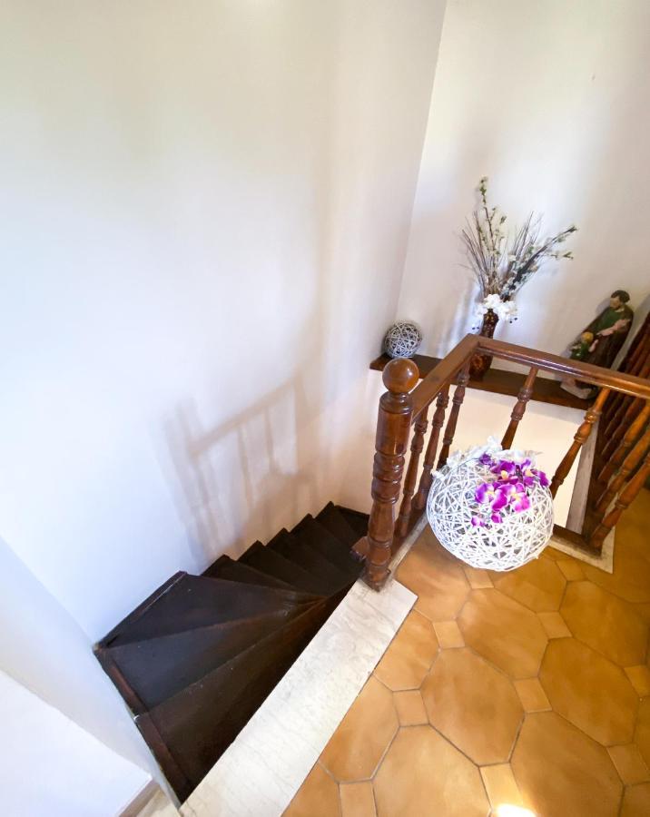 Casa Dasyra