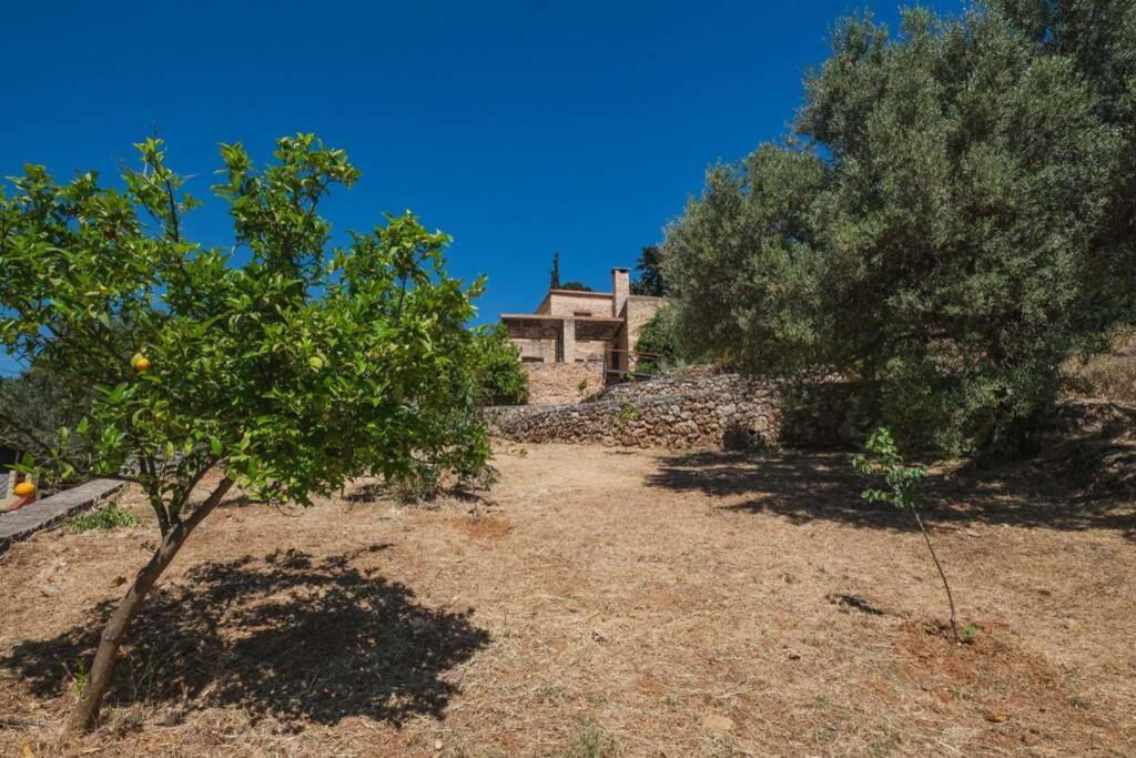 Kalogra - Architect With Breathtaking Views Chania (Crete)