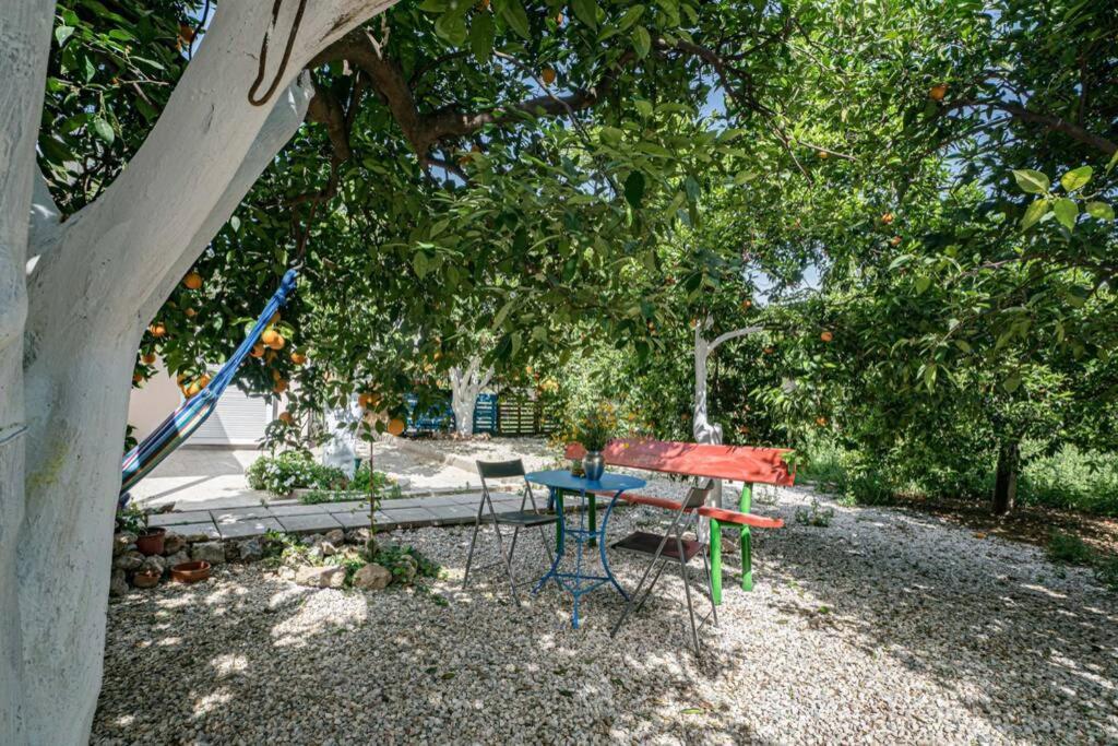Olga's Organic Garden For A Couple! With Wifi & Ac Holiday home *