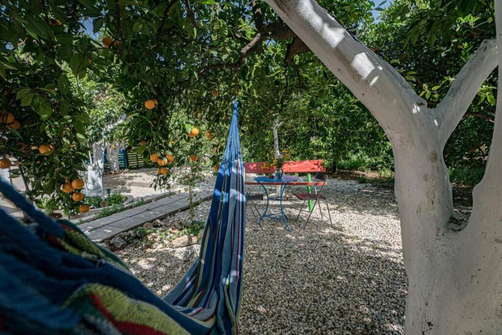 Olga's Organic Garden For A Couple! With Wifi & Ac Chania (Crete)