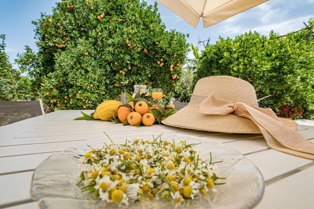 Olga's Organic Garden For A Couple! With Wifi & Ac Chania (Crete)