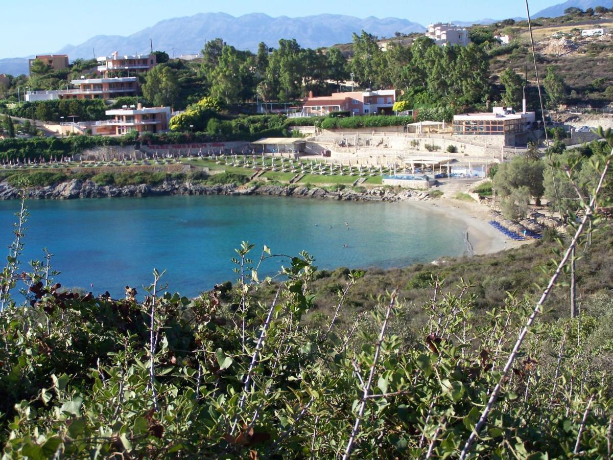 Manolo S Olive Farm, With Seaview Apartment