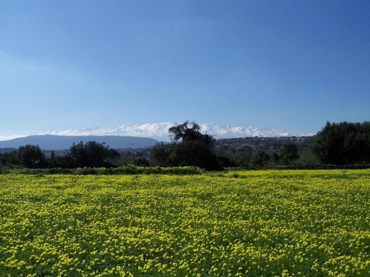 Manolo S Olive Farm, With Seaview *