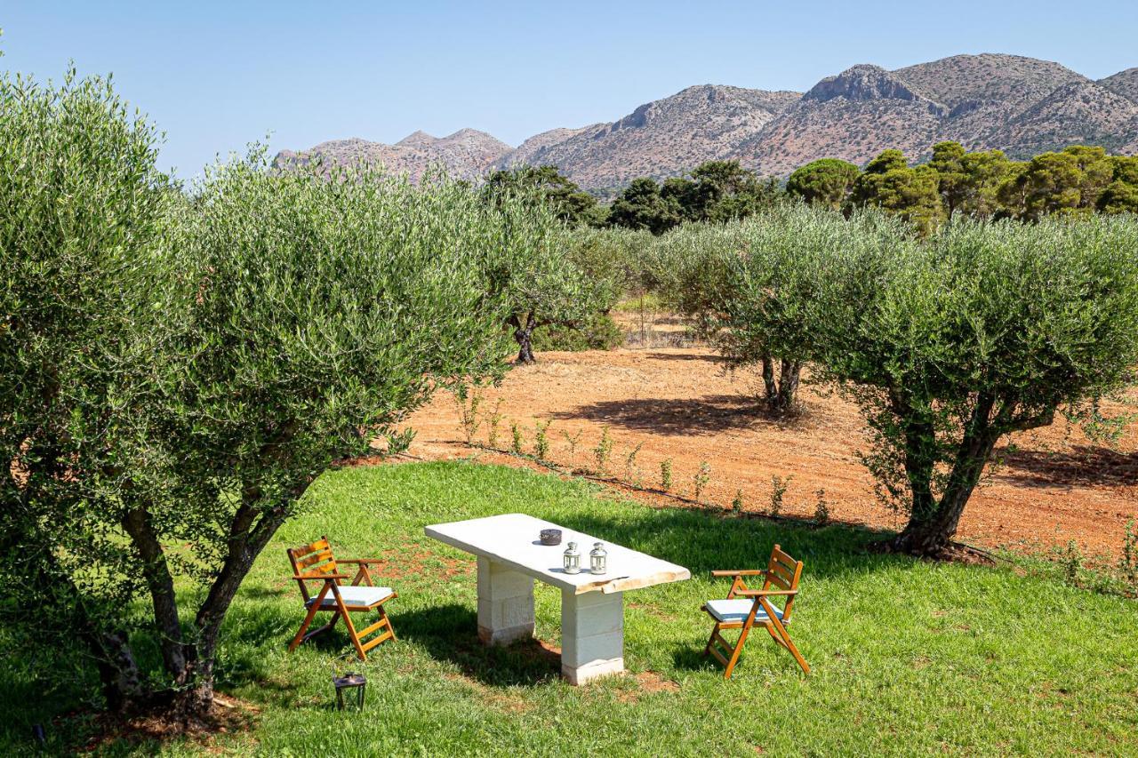 Apartment Villa Luz Chania (Crete)
