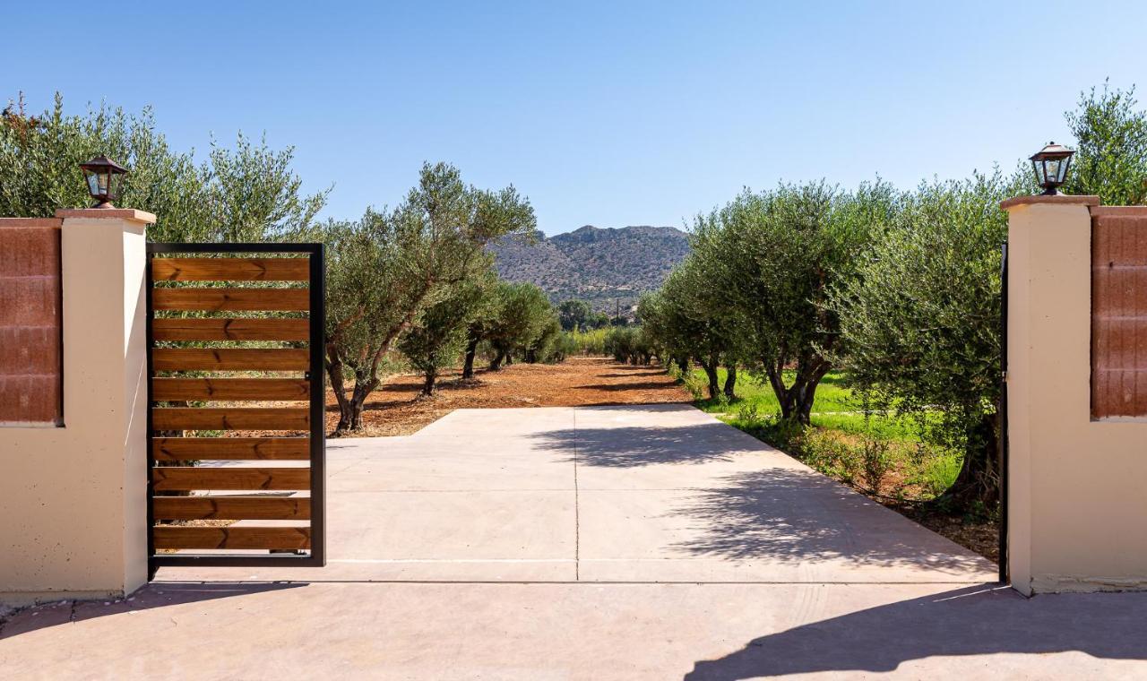 Apartment Villa Luz Chania (Crete)