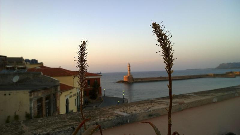 Amphora