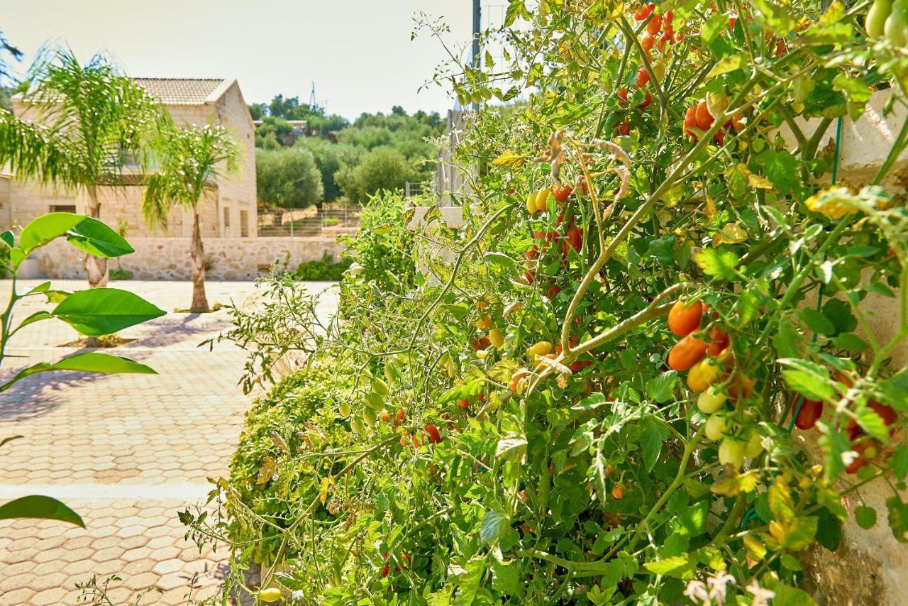Aktis Luxury Chania (Crete)