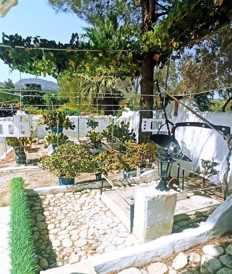 Dina Chania (Crete)