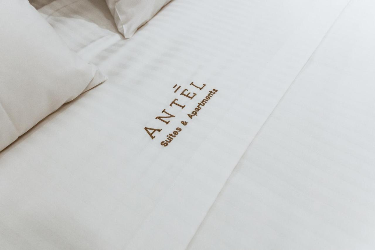 Apartment Antel & *