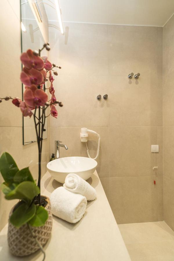Antel & Apartment *