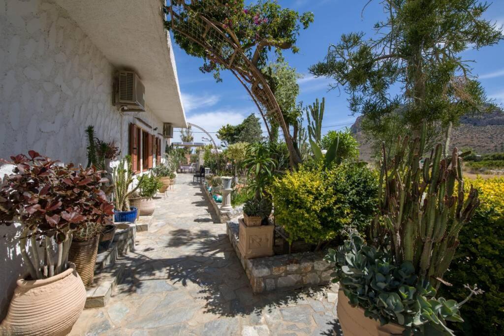 Renas Secret Garden House *