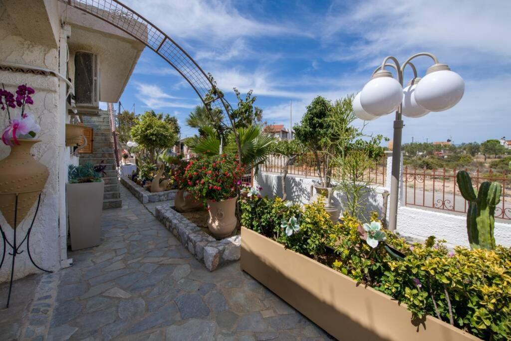 Renas Secret Garden House *