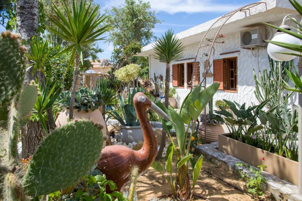 Renas Secret Garden House