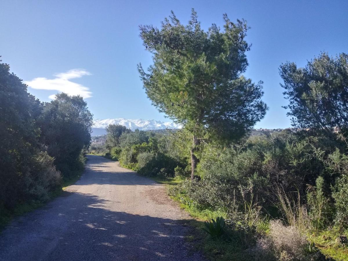 Apartment Manolo S Olive Farm, With Seaview *