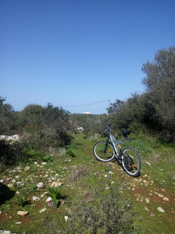 Manolo S Olive Farm, With Seaview Apartment *