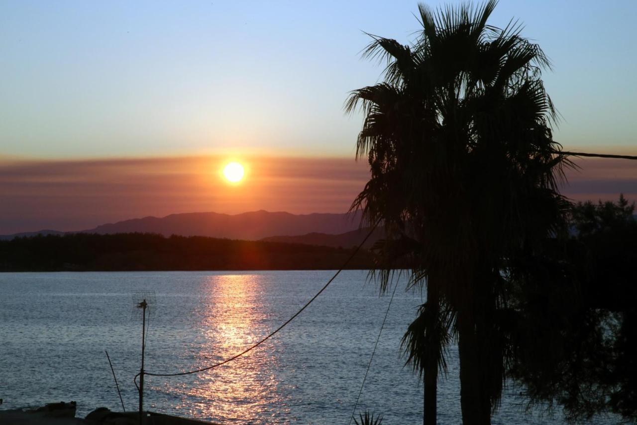Thalia Chanla Chania (Crete)