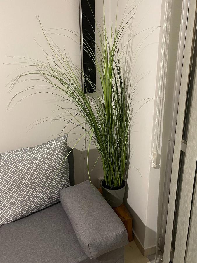 A Hidden Gem In Citys Heart Apartment