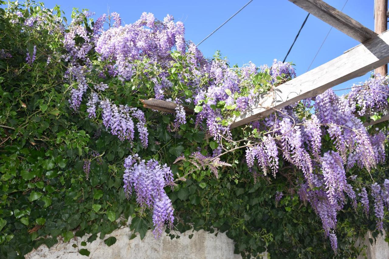 Pasha's Sarai Chania (Crete)