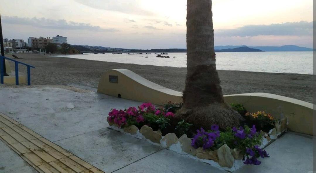 Apartment House Near The 2 Chania (Crete)