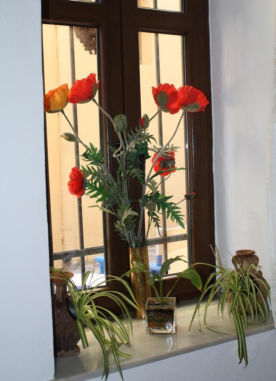 Guest house Anemones Chania (Crete)