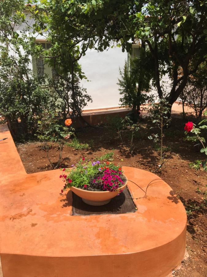 The House With The Garden *