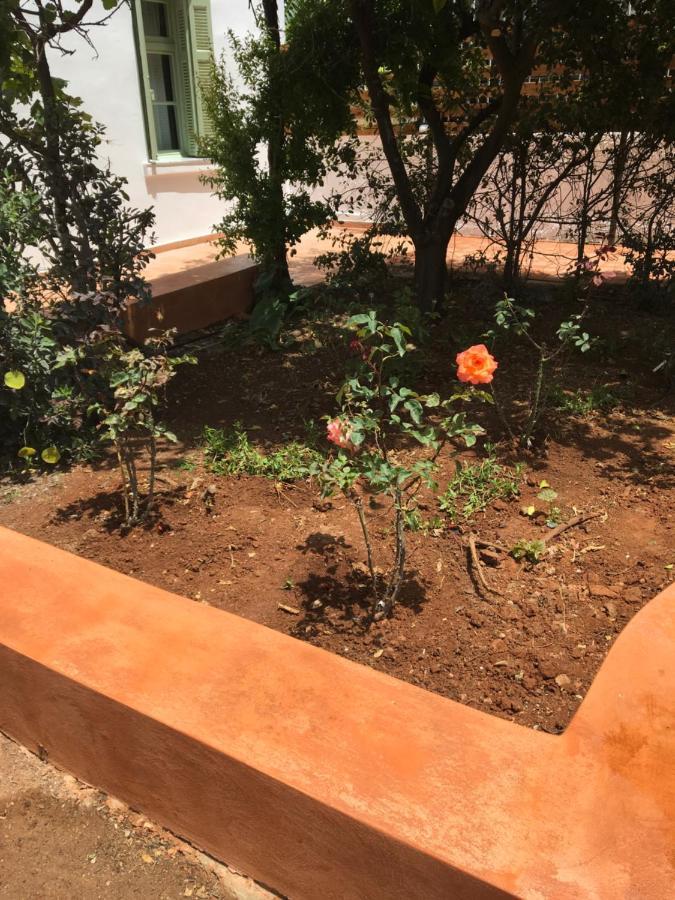The House With The Garden