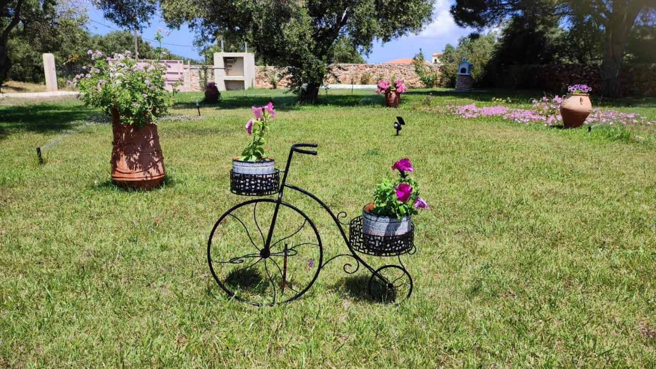 Holiday home Cozy With Garden
