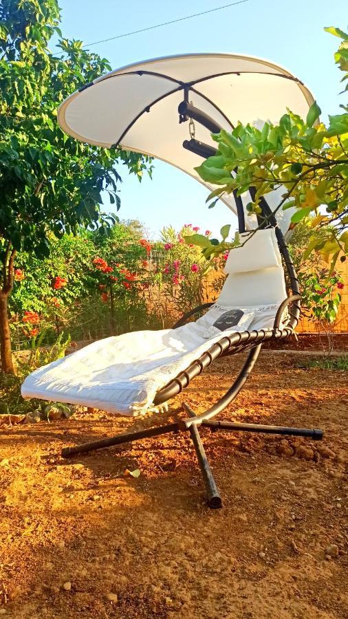 Dream Tiny House Or Luxus Tent With Pool