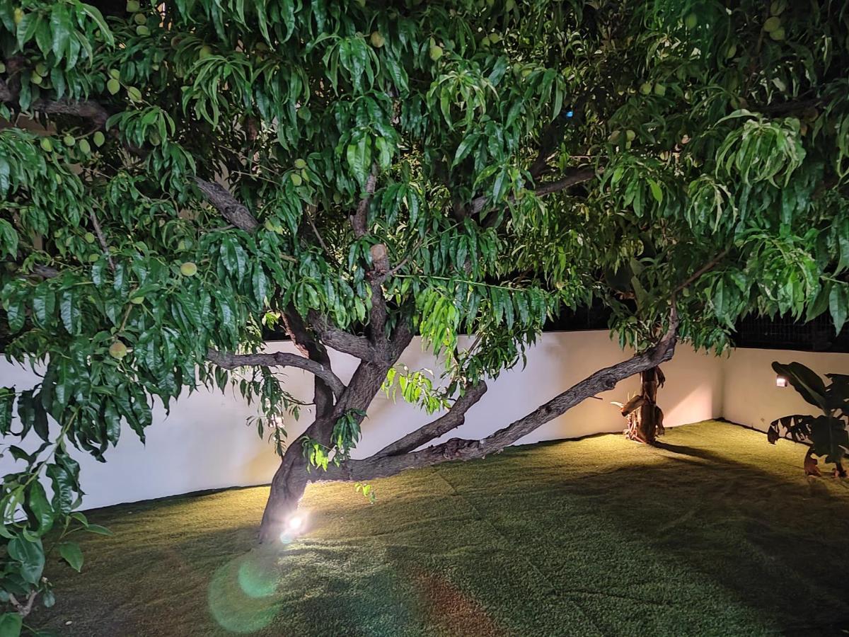 Callisto Appartement Chania (Crete)