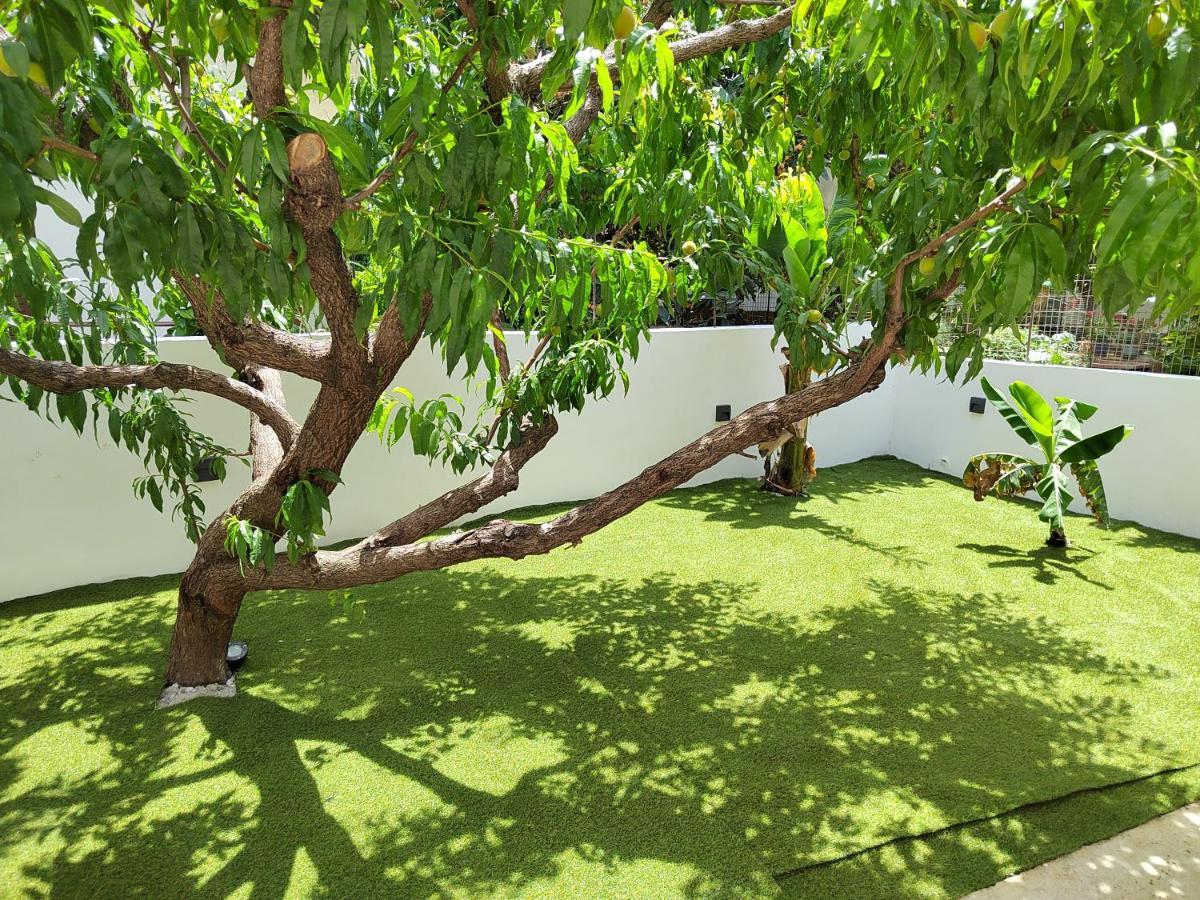Appartement Callisto Chania (Crete)
