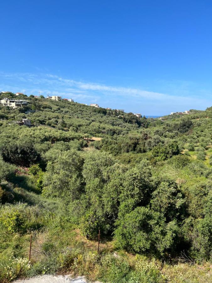 Eugene Apartment Chania (Crete)