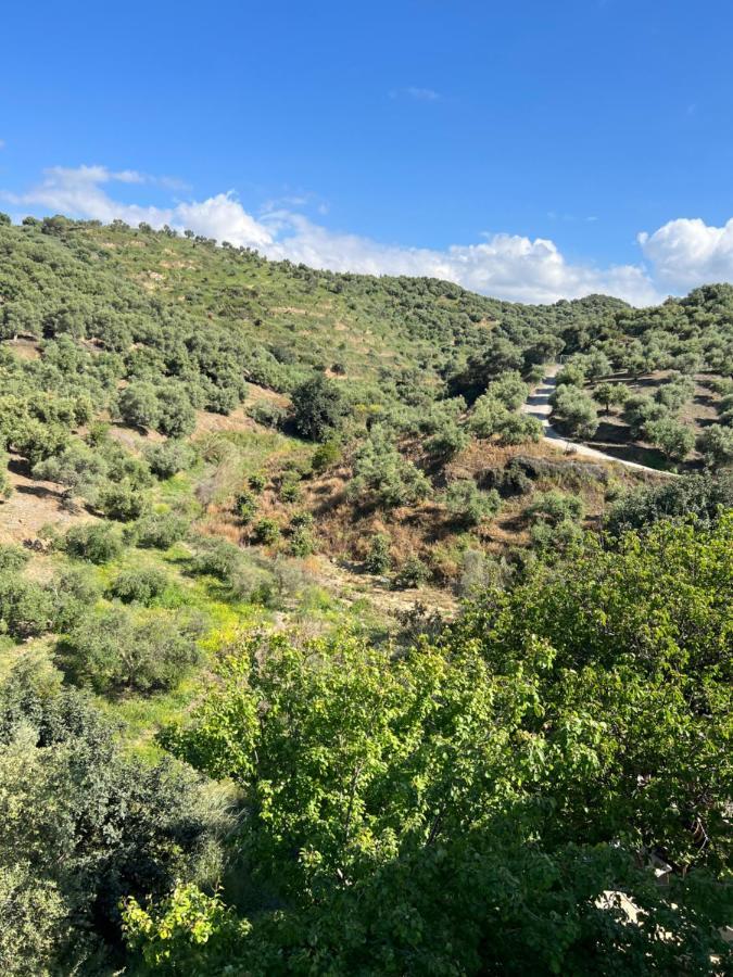 Eugene Apartment Chania (Crete)