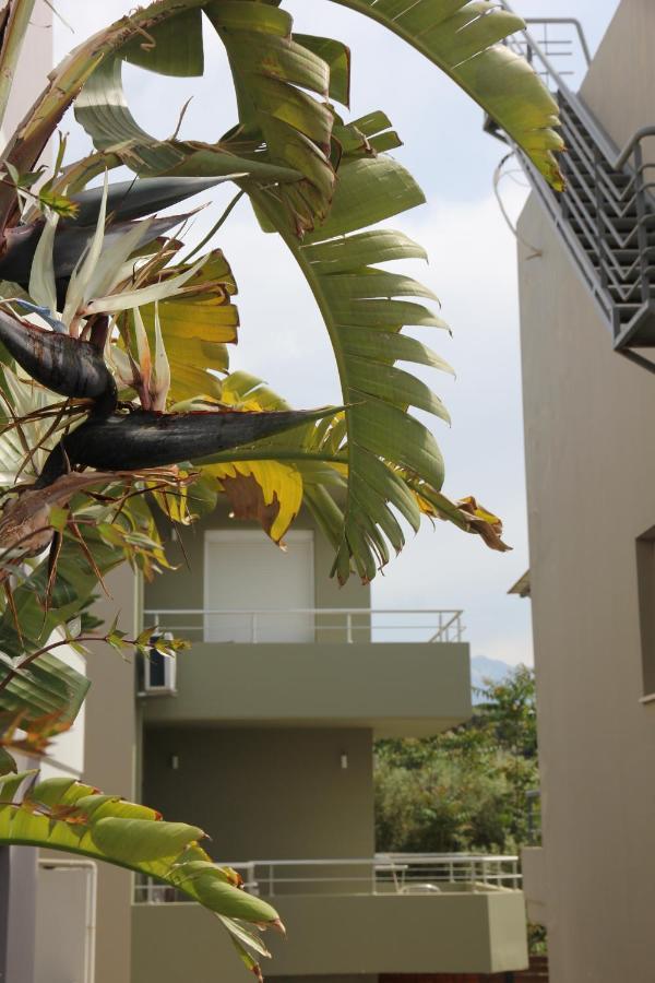 Kamares Apts - Antonis Cozy Maisonette *