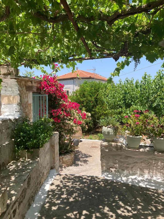 Sergios * Chania (Crete)