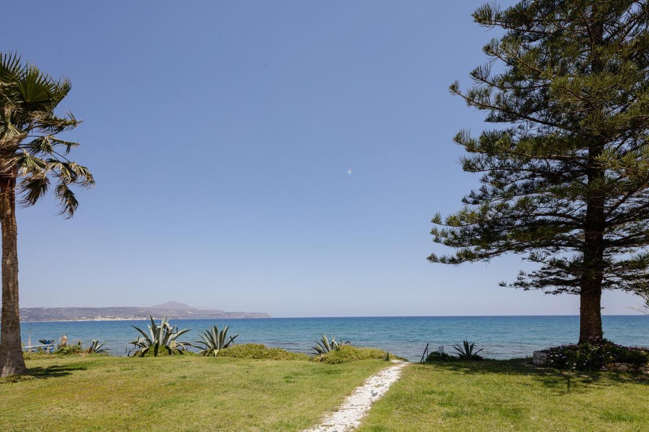 Adelphes Beachfront With Direct Connection To The *