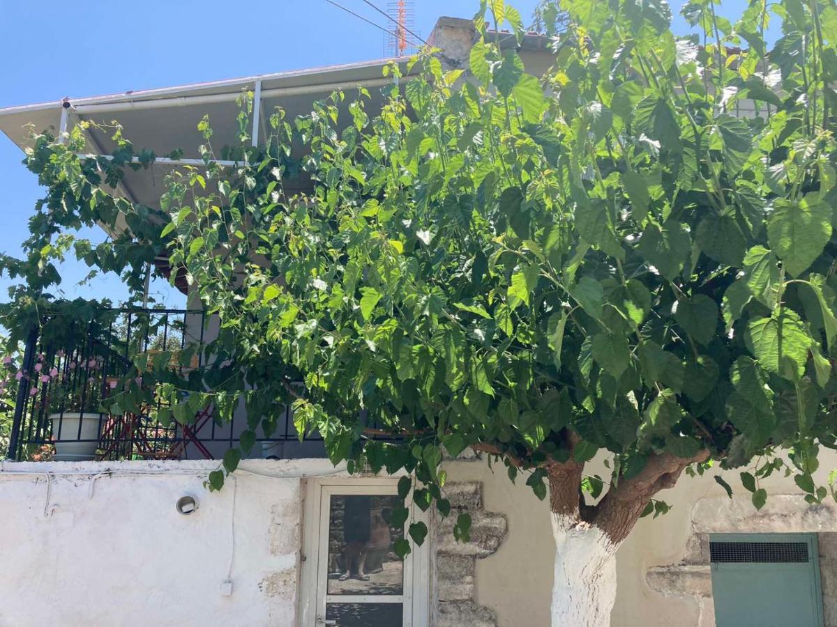 Ferienhaus Sergios Chania (Crete)
