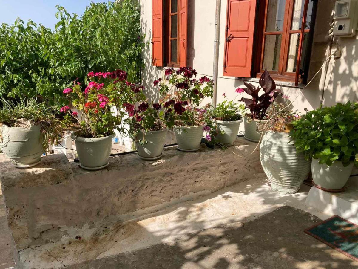 Sergios Ferienhaus
