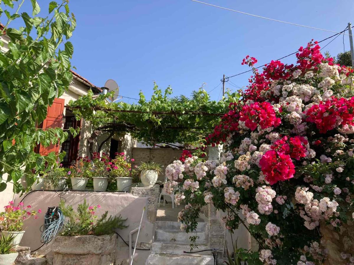 Sergios * Chania (Crete)