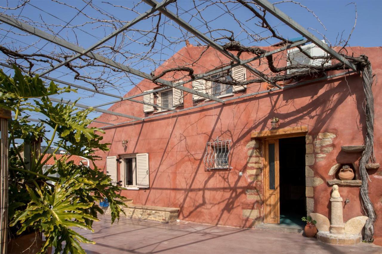 Avocado Iason Villa *